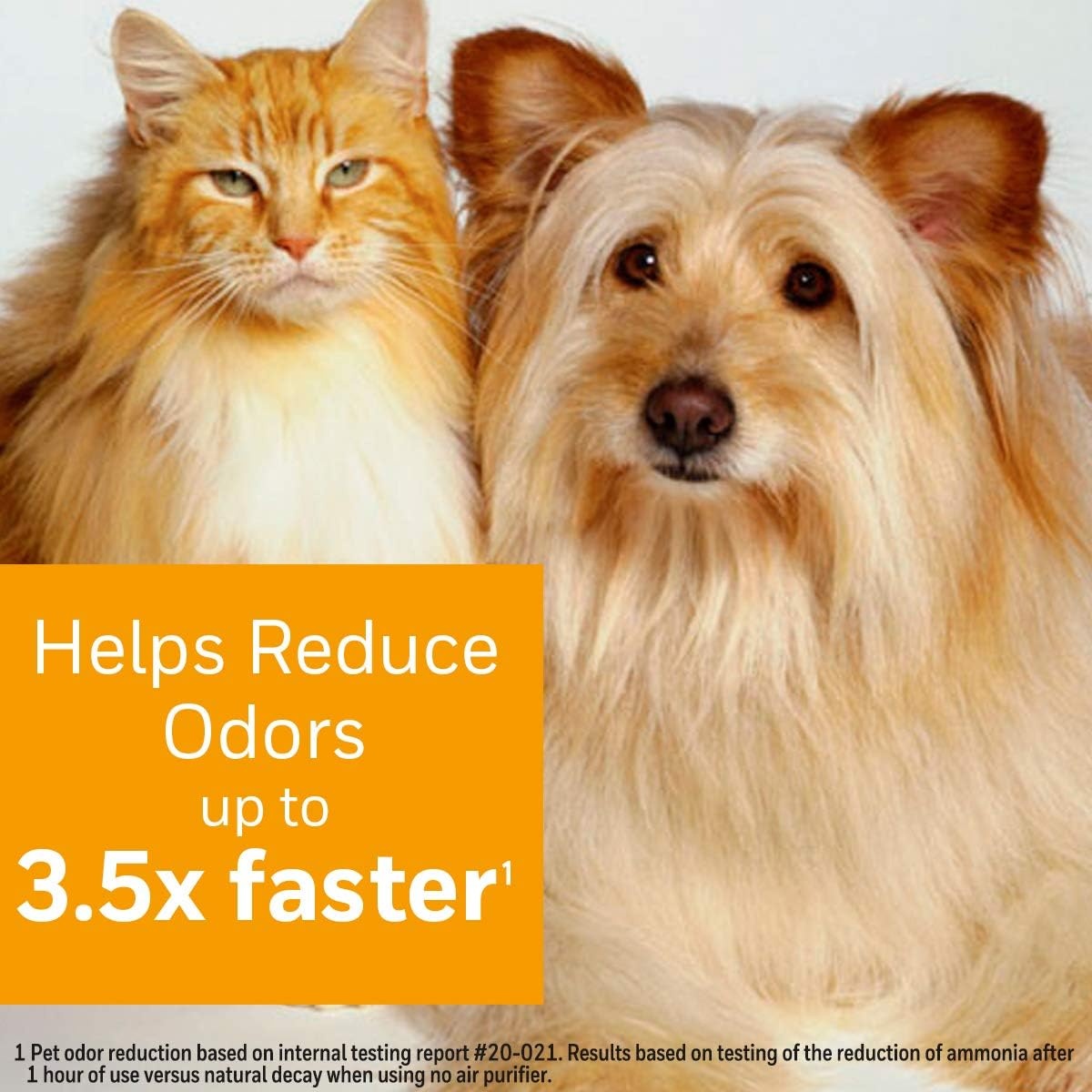 image:imageHoneywell Air Purifier Filter for Pet Odor Filter S for HPA3000 PowerPlus and HPA5000 Insight Series HRFSP1