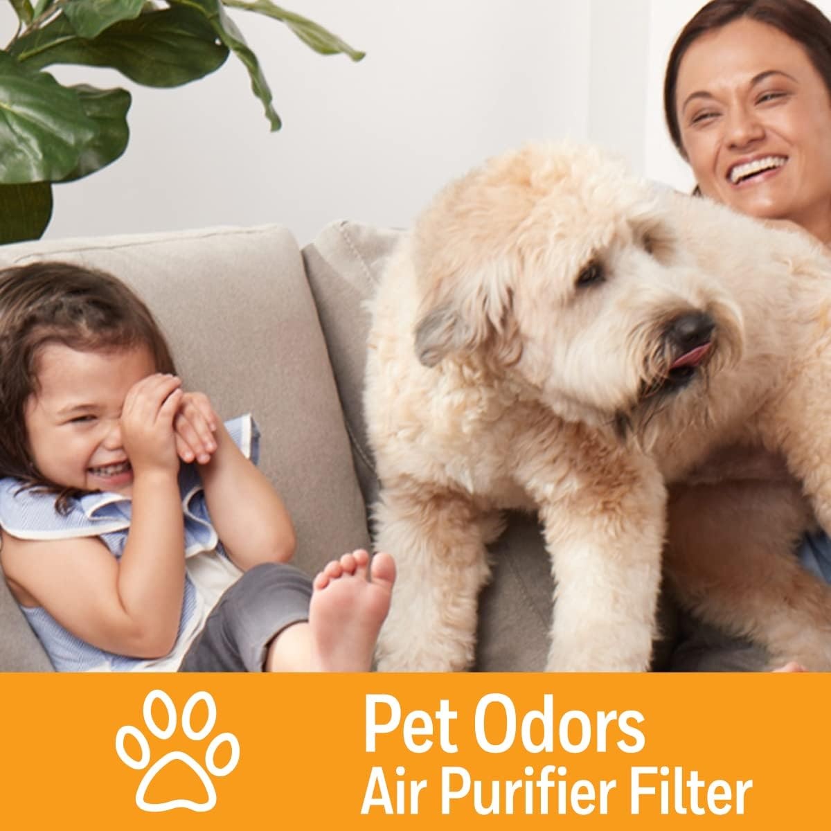 image:imageHoneywell Air Purifier Filter for Pet Odor Filter S for HPA3000 PowerPlus and HPA5000 Insight Series HRFSP1
