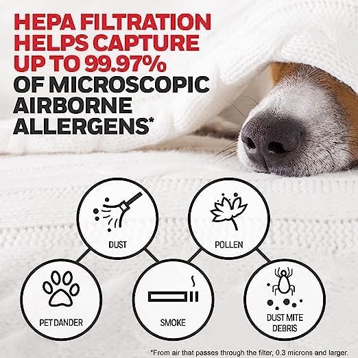 image:imageHoneywell HEPA Air Purifier Filter G 1Pack for HPA030HPA080 amp HPA180 Series Airborne Allergen Air Filter Targets WildfireSmoke Pollen Pet Dander and Dust1 Count Pack of 2