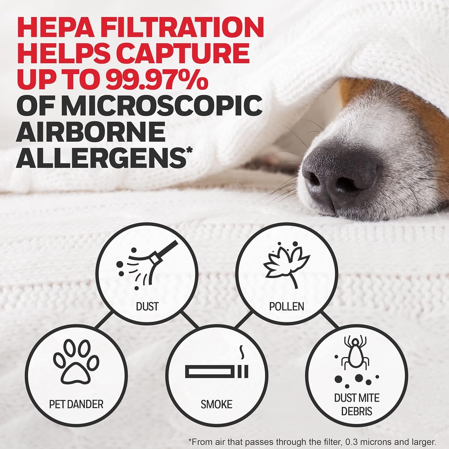 image:imageHoneywell HEPA Air Purifier Filter G 1Pack for HPA030HPA080 amp HPA180 Series Airborne Allergen Air Filter Targets WildfireSmoke Pollen Pet Dander and Dust14 x 49 x 10